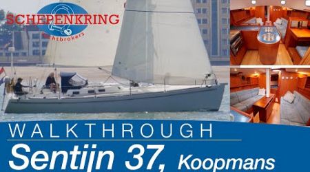 Koopmans Sentijn 37 for sale | Yacht Walkthrough | @ Schepenkring Lelystad | 4K