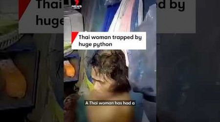 Thai woman trapped by huge python