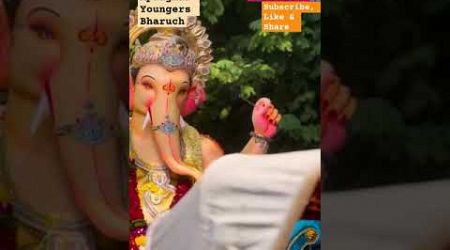 Apnaghar Youngers | #ganpatibappavisarjan #travel #2024 @denishvaland071