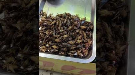 Pattaya Runway Street Food ! Bugs!