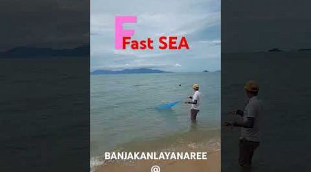 Fast SEA.,#FASTSEA #SAMUI #NAKHONSITAMMARAT #FULLMOON #NOOM