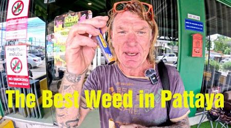 STILL LEGAL Cannabis/Marijuana in Thailand. King Cannabis Pattaya Has The Best Weed