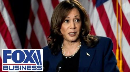 Small business owner responds to Kamala Harris&#39; price gouging accusations