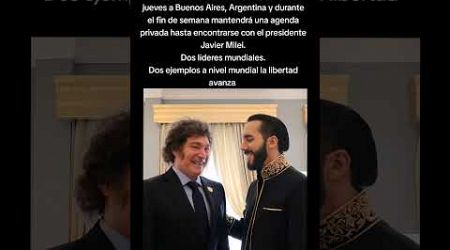 Nayib Bukele y Javier Milei #nayibbukele #argentina #noticias #politics #chile #boric #noticias