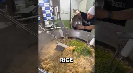 Amazing Robot Cooks Fried Rice! 