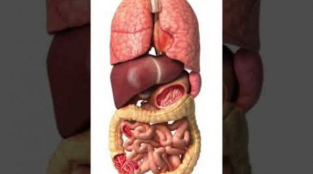 2 Powerful Medicines to BOOST Your Liver Health FAST! #shorts #facts