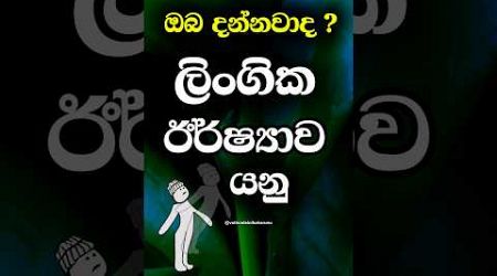 එයා මෙහෙම නම් ඔයා පව් 