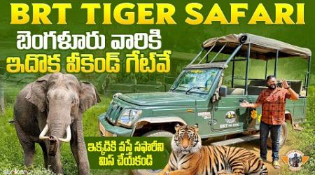 BRT Tiger Safari || K Gudi Safari by Karnataka JLR|| Weekend getaway from Bangalore ||Strikers