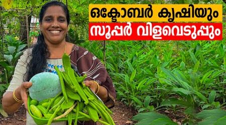 ഒക്ടോബർ കൃഷിയും സൂപ്പർ വിളവെടുപ്പും | October Krishi | Mini&#39;s Lifestyle