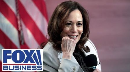 CNN host says Harris has Republican economic policies: This is her ‘audition’ for the WH