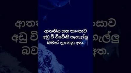 හම්බෝ එයාලට වෙන දේ හිතාගන්න්වත් බෑ 