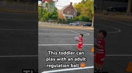 Toddler steph curry basketball 