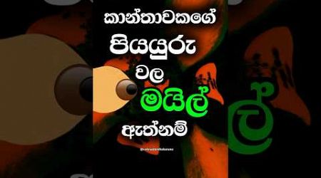 හම්බෝ ඔයාට හිතාගන්නවත් බෑ වෙනදේ