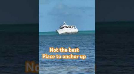 #yacht grounding #fail at sea