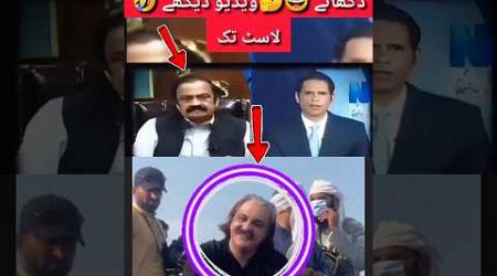 گنڈاپور کی زلفوں کی قسم لاسٹ تک ویڈیو دیکھئے #youtubeshort #politics #pakistannews #trending #news