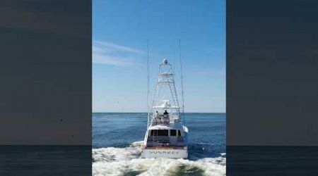 64’ Spencer Rolling out of Alabama Point #sportfish #yacht #boating #bama