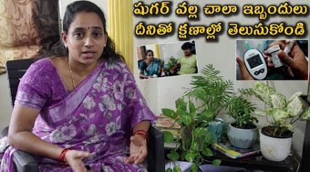 షుగర్ క్షణాల్లో తెలుసుకోండి | AGARO BLOOD GLUCOSE MONITORING SYSTEM | Today vlog | @Vijaya Lifestyle