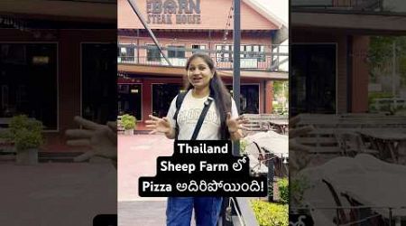 Thailand Sheep Farm Barn Steak House