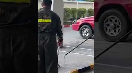 Large Python causes panic at Pattaya Department Store Parking Lot! #pattaya #news