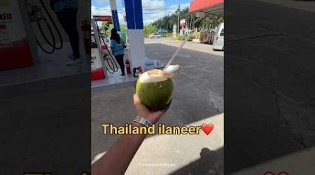 Thailand ilaneer vlog