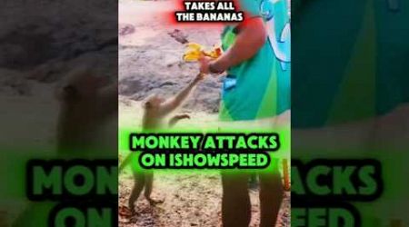 ishowspeed gets attacked by Monkey in Thailand 