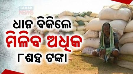 Odisha Government To Begin Paddy Procurement In November With Increased MSP Of Rs 3,100 Per Quintal