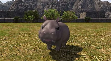 Moo Deng Fandom Sends Hippo Minion Prices Soaring In Final Fantasy XIV