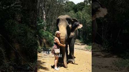 Phuket elephant care (Naithon Camp) #phuketelephantcare #elephant #phuketthailand #ช้างภูเก็ต