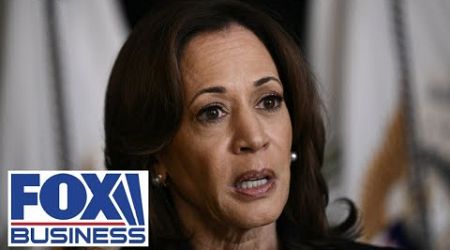 Kamala Harris didn&#39;t believe her own words: GOP rep