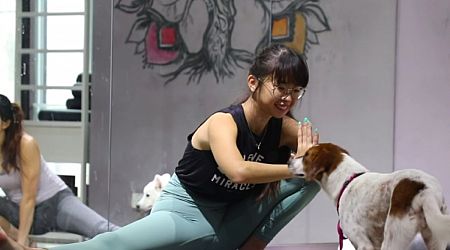 This 23-year-old animal lover opened a studio so people can attend yoga classes with their dogs