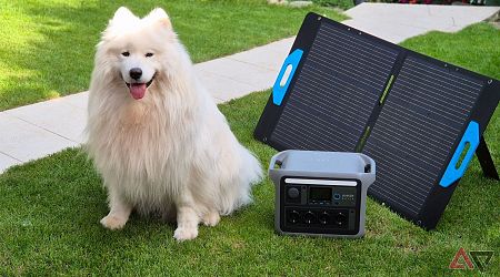 This portable battery helps me travel with my dog