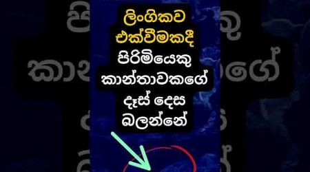 දන්නවද ඒ ඇයි කියලා 