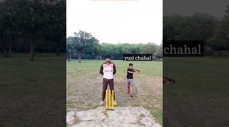 International players in Gully cricket 