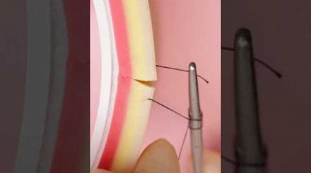 Kuwait Stitch VS Simple Interrupted Suture #suturing #vet #medicine #surgeon #surgeonlife #sewing