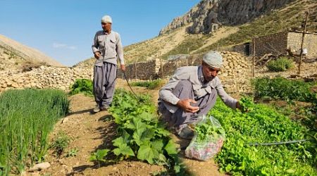 IRAN nomadic life | daily routine village life of Iran | Nomadic lifestyle of Iran