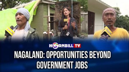 NAGALAND: OPPORTUNITIES BEYOND GOVERNMENT JOBS