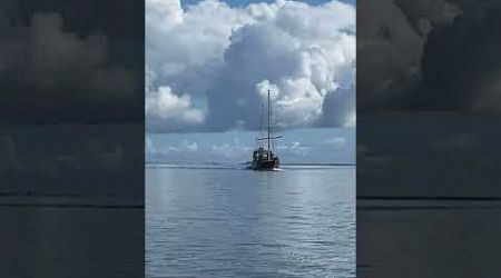 Pirate ship on port stern #sailing #sailboat #cruising #ocean