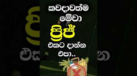 මේ දේ ඔයා අදම නවත්වන්න ❌ #shorts #education #facts