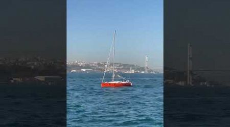 Sailboat ⛵️ in Istanbul