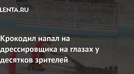 Крокодил напал на дрессировщика на глазах у десятков зрителей