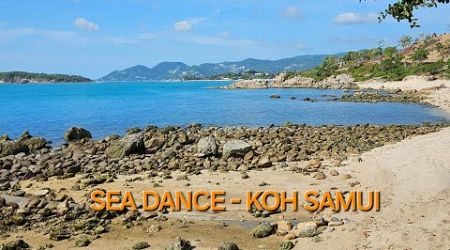 Sea Dance Resort - Koh Samui. Best Resort in Koh Samui