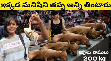 BIGGEST MEAT MARKET IN BANGKOK | TELUGU GIRL IN THAILAND 