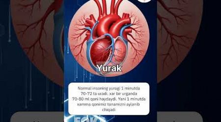 #doctor #facts #love #ozbekiston #million #avazoxun #short #ytshorts #follow #medical #yt #uzbek #f