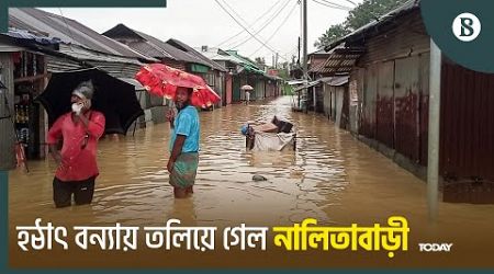 ঢল-বর্ষণে প্লাবিত শেরপুরের নালিতাবাড়ী, পানিবন্দী কয়েক হাজার পরিবার | Flood | The Business Standard