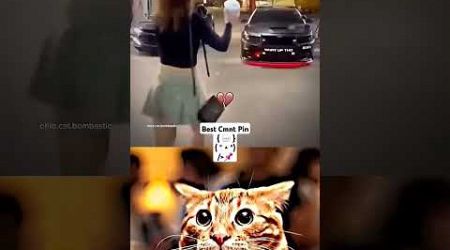 Polisssss #automobile #edit #cat #memes #funny #smartphone #alightmotion #popular #mrbombastic #tren