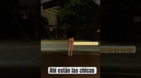 Las cariñosas de la Figueroa st: #shorts #abejasmemes #humor #abejas #travel #figueroastreet