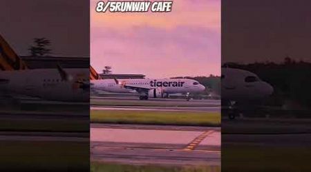 Tiger air @85RunwayCafe #airplane #airport #airbus #boeing #aviation #pilot #takeoff #phuket