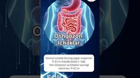 #doctor #facts #love #ozbekiston #million #avazoxun #short #ytshorts #follow #medical #yt #uzbek #f