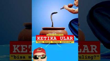 KETIKA ULAR!! Bisa menari karena seruling #physics #science #education @zackdfilms