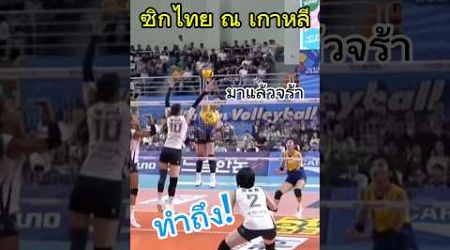 ซิกไทย ทำถึง เกาหลี #วิภาวีศรีทอง #thailand #volleyball #kovo분석 #shorts #วอลเลย์บอลหญิง